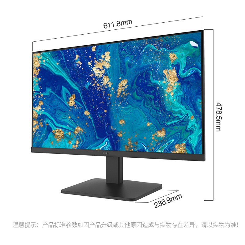 DELL 显示器 D2421H 3