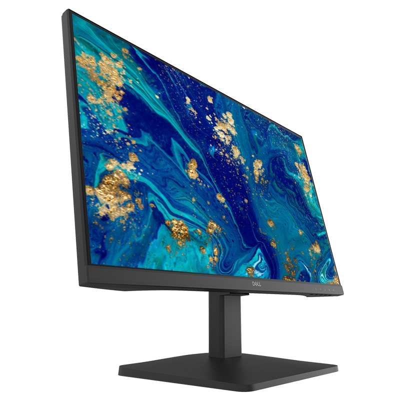 DELL 显示器 D2421H 4