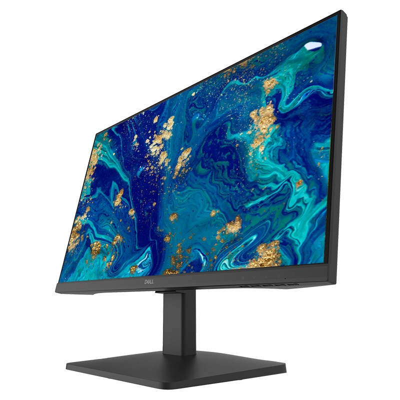 DELL 显示器 D2421H 5